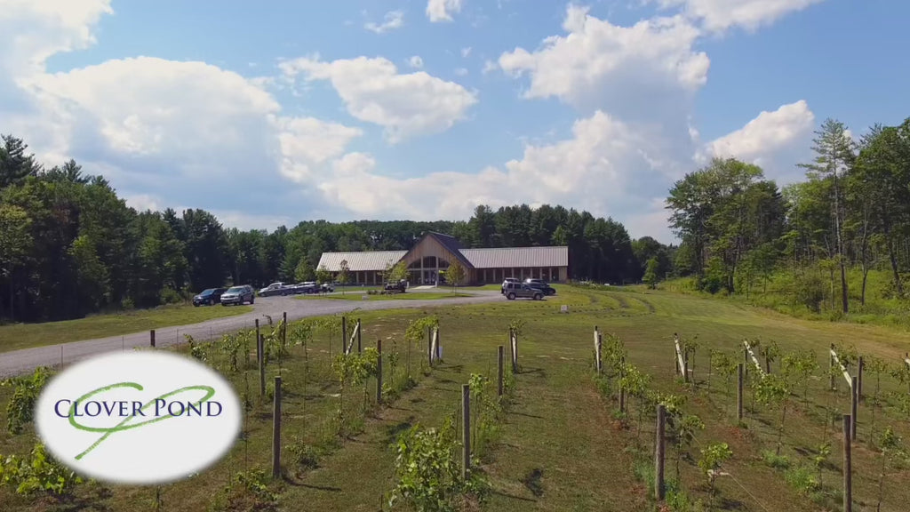 A short video showing a fly-over of the vineyard, through the front door, into the tasting room and out the back door onto a patio that features bright yellow umbrellas and a table set with bottles and glasses of wine and a plate of food with chocolates, fresh fruit, crackers and cheeses. 